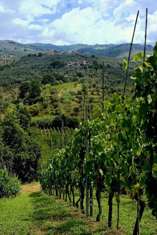 Villa Antico Borghetto Di Tigliano Vinci Kültér fotó
